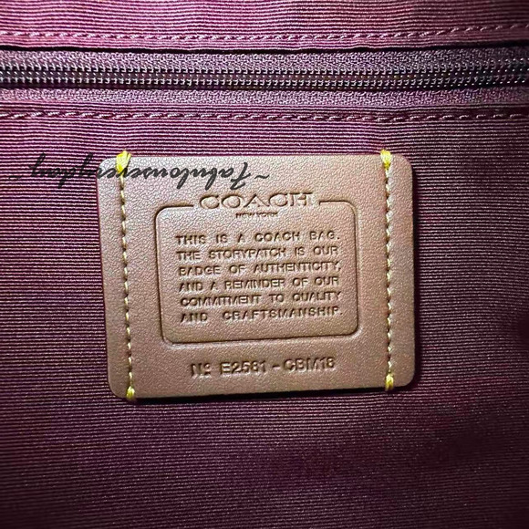 Coach Gallery Tote Bag In Signature Canvas W/ Stripe Print CBM18 Gold/Tan Multi - Picture 7 of 13